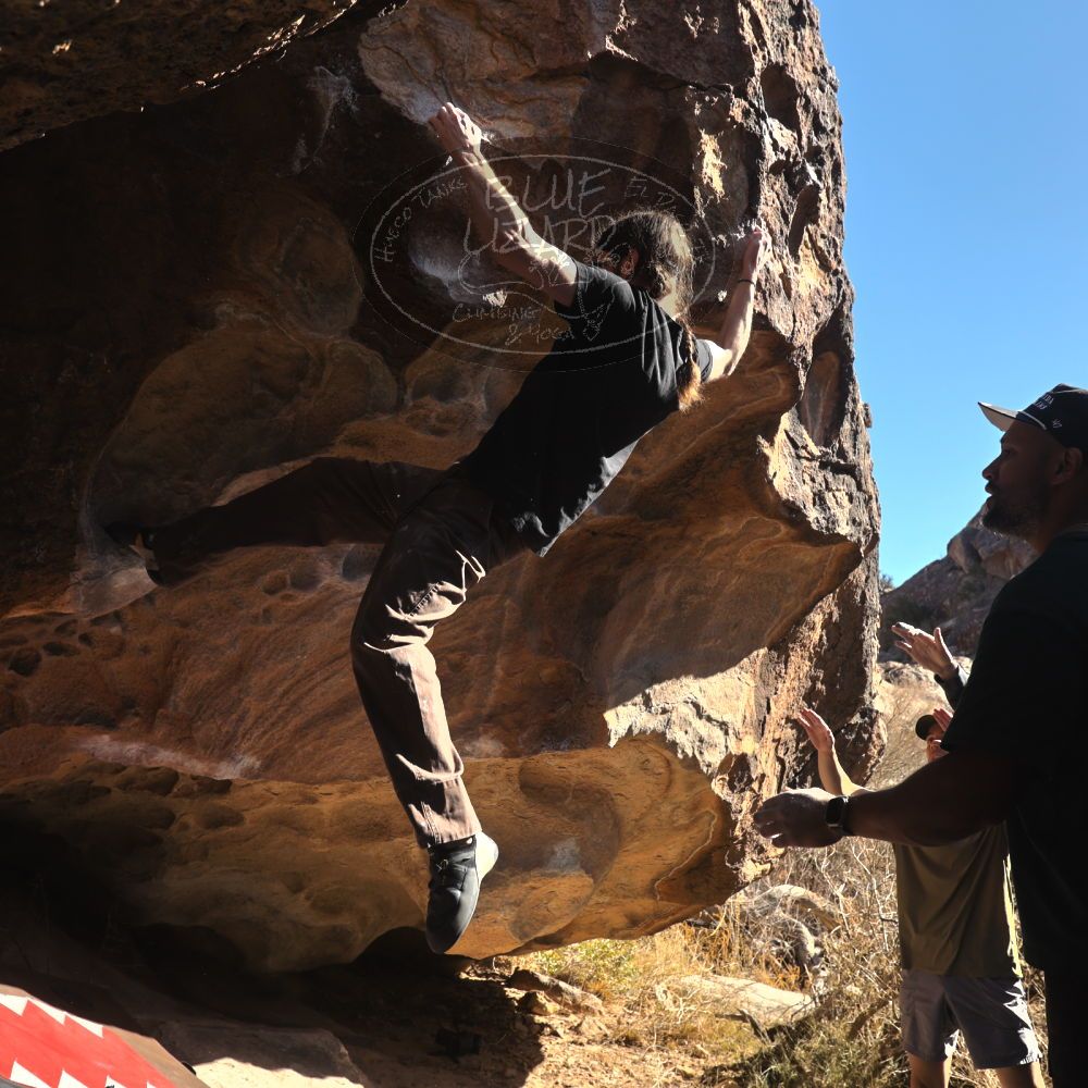 

Filename: SRM_20260117_1128030.jpg
Aperture: f/5.6
Shutter Speed: 1/500
Body: Canon EOS R6
Lens: Canon EF 16-35mm f/2.8 L