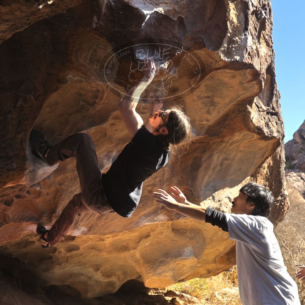 

Filename: SRM_20260117_1131390.jpg
Aperture: f/5.6
Shutter Speed: 1/500
Body: Canon EOS R6
Lens: Canon EF 16-35mm f/2.8 L