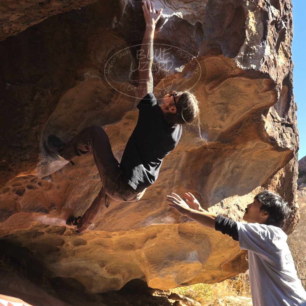 

Filename: SRM_20260117_1131400.jpg
Aperture: f/5.6
Shutter Speed: 1/500
Body: Canon EOS R6
Lens: Canon EF 16-35mm f/2.8 L