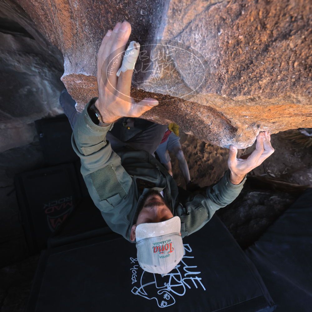 

Filename: SRM_20260117_1410460.jpg
Aperture: f/5.6
Shutter Speed: 1/500
Body: Canon EOS R6
Lens: Canon EF 16-35mm f/2.8 L