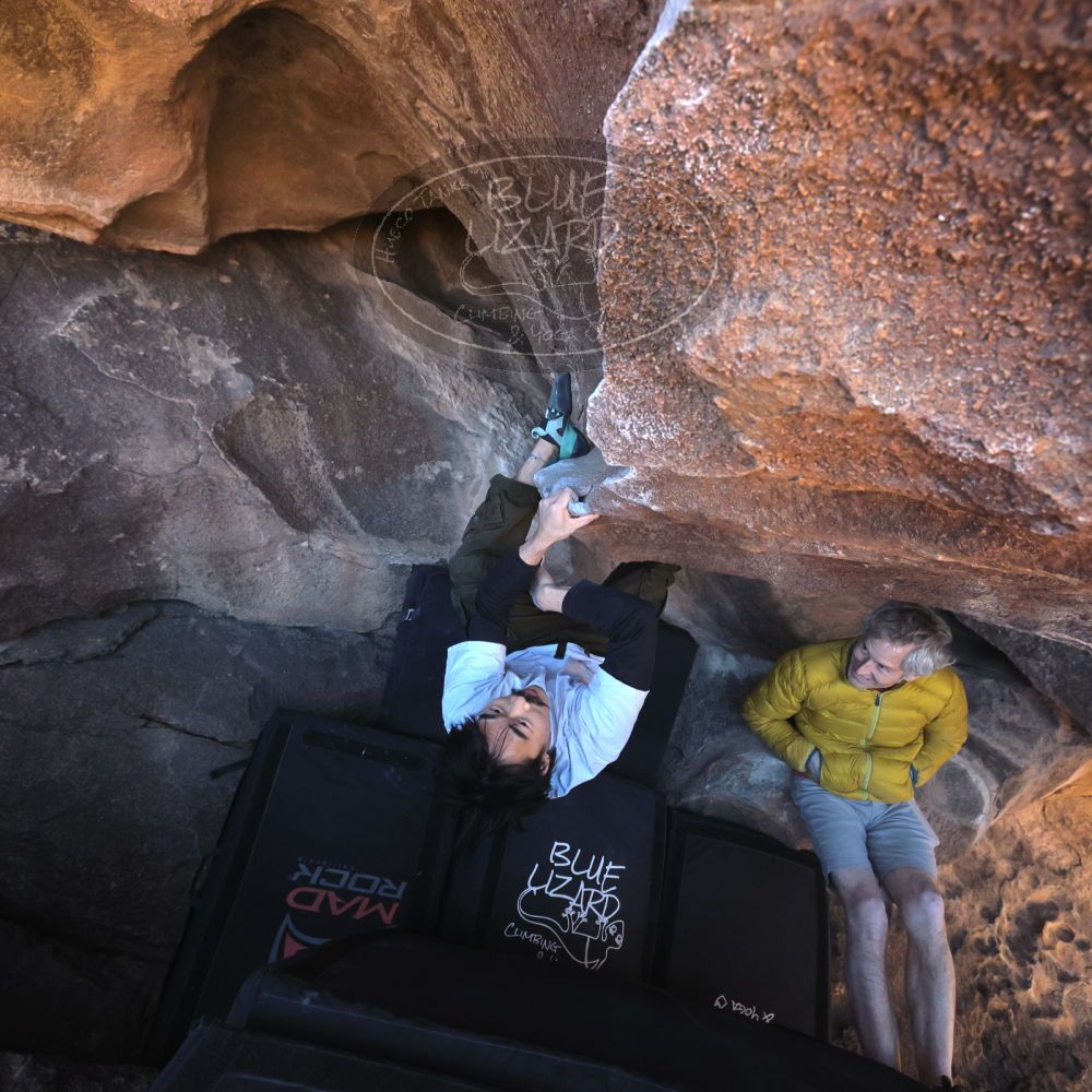 

Filename: SRM_20260117_1412510.jpg
Aperture: f/5.6
Shutter Speed: 1/500
Body: Canon EOS R6
Lens: Canon EF 16-35mm f/2.8 L