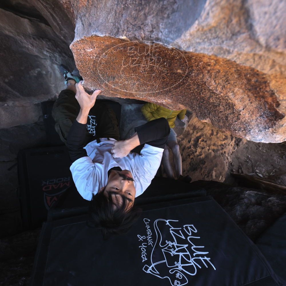 

Filename: SRM_20260117_1412570.jpg
Aperture: f/5.6
Shutter Speed: 1/500
Body: Canon EOS R6
Lens: Canon EF 16-35mm f/2.8 L