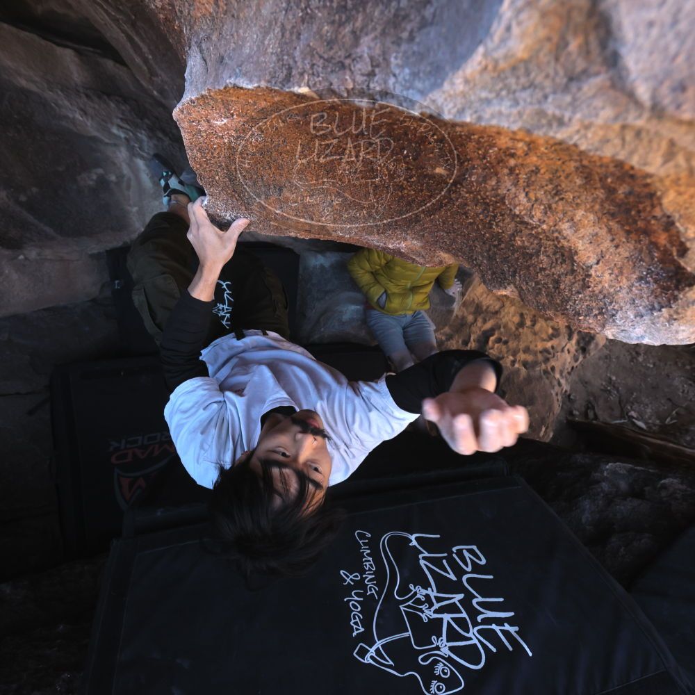 

Filename: SRM_20260117_1412571.jpg
Aperture: f/5.6
Shutter Speed: 1/500
Body: Canon EOS R6
Lens: Canon EF 16-35mm f/2.8 L