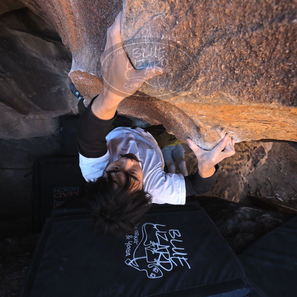 

Filename: SRM_20260117_1413020.jpg
Aperture: f/5.6
Shutter Speed: 1/500
Body: Canon EOS R6
Lens: Canon EF 16-35mm f/2.8 L