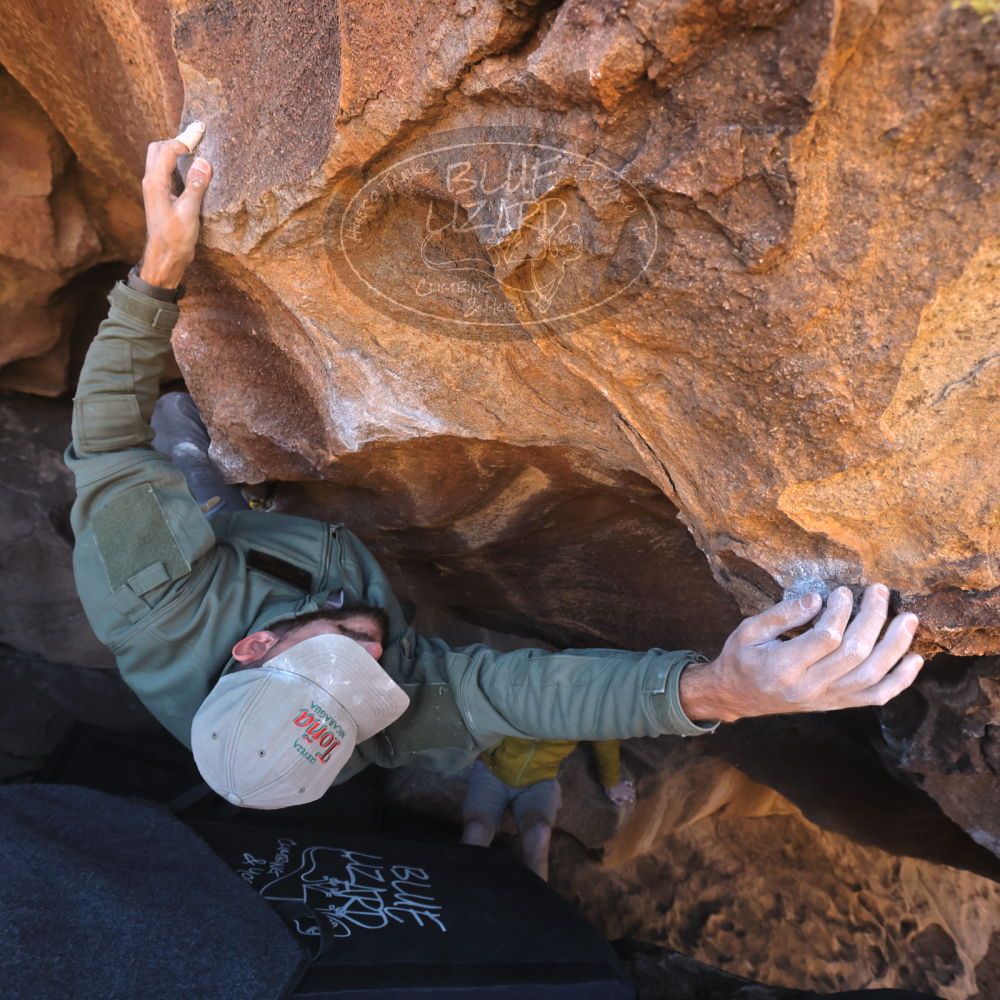 

Filename: SRM_20260117_1424080.jpg
Aperture: f/5.6
Shutter Speed: 1/640
Body: Canon EOS R6
Lens: Canon EF 16-35mm f/2.8 L