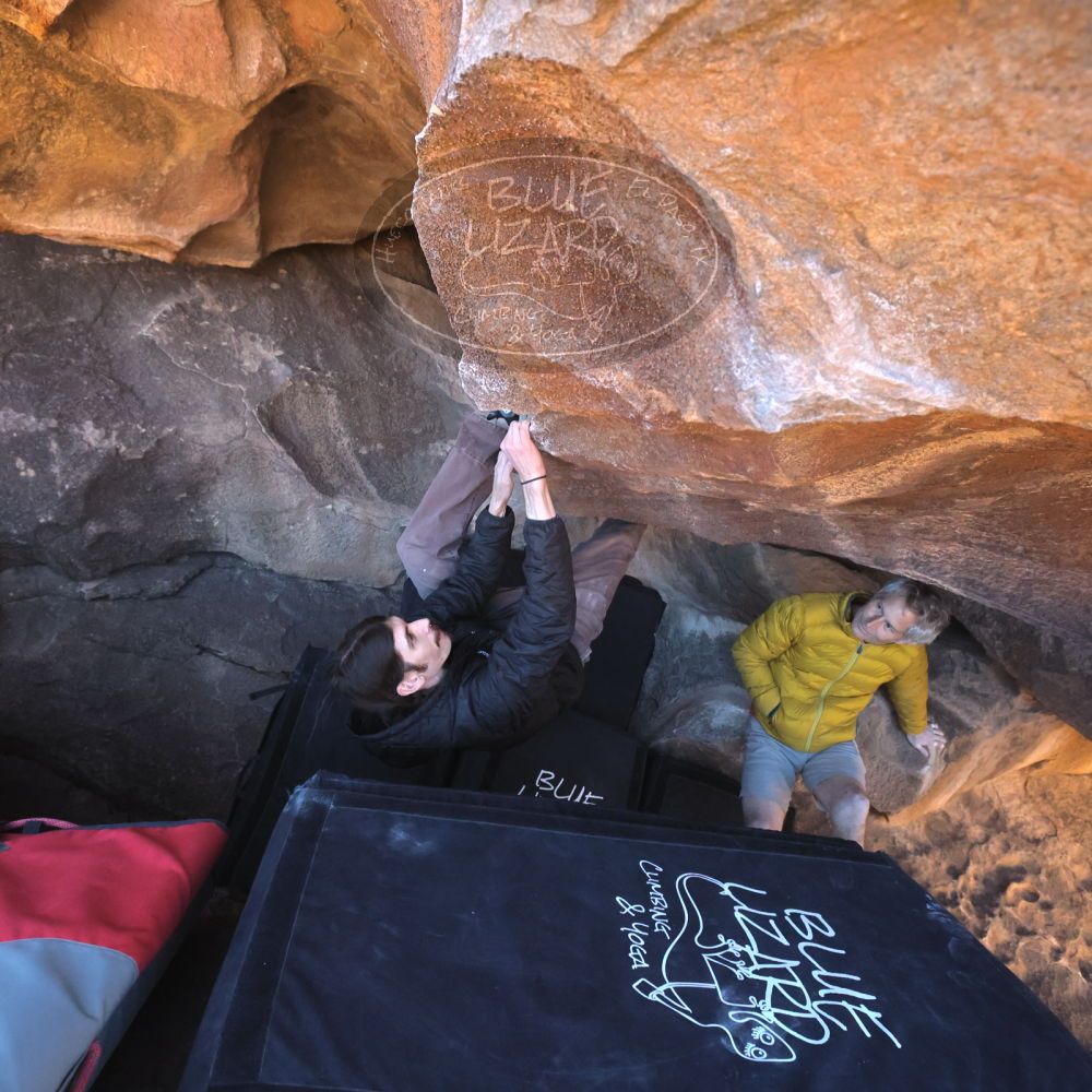 

Filename: SRM_20260117_1426380.jpg
Aperture: f/5.6
Shutter Speed: 1/640
Body: Canon EOS R6
Lens: Canon EF 16-35mm f/2.8 L