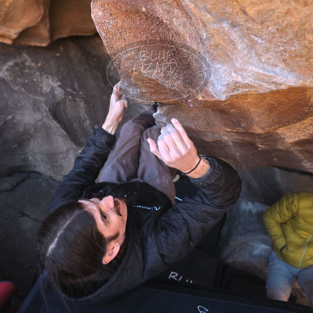 

Filename: SRM_20260117_1426420.jpg
Aperture: f/5.6
Shutter Speed: 1/640
Body: Canon EOS R6
Lens: Canon EF 16-35mm f/2.8 L