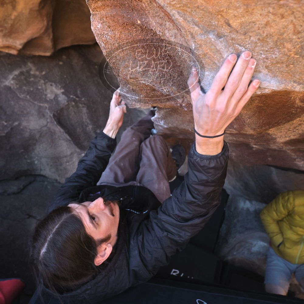 

Filename: SRM_20260117_1426430.jpg
Aperture: f/5.6
Shutter Speed: 1/640
Body: Canon EOS R6
Lens: Canon EF 16-35mm f/2.8 L