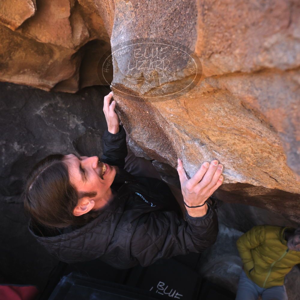 

Filename: SRM_20260117_1426571.jpg
Aperture: f/5.6
Shutter Speed: 1/640
Body: Canon EOS R6
Lens: Canon EF 16-35mm f/2.8 L