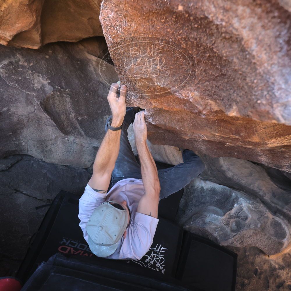 

Filename: SRM_20260117_1433150.jpg
Aperture: f/5.6
Shutter Speed: 1/640
Body: Canon EOS R6
Lens: Canon EF 16-35mm f/2.8 L