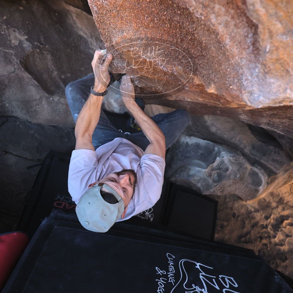 

Filename: SRM_20260117_1433180.jpg
Aperture: f/5.6
Shutter Speed: 1/640
Body: Canon EOS R6
Lens: Canon EF 16-35mm f/2.8 L