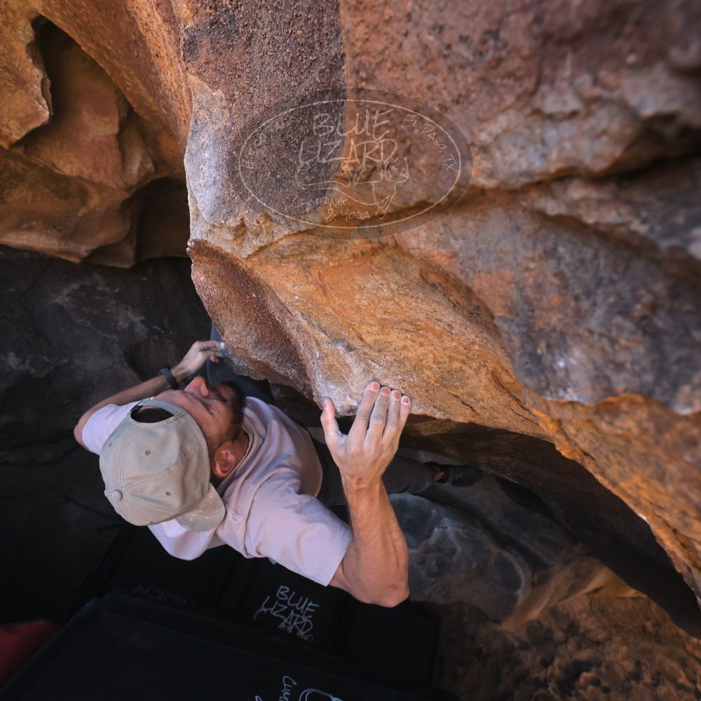 

Filename: SRM_20260117_1433250.jpg
Aperture: f/5.6
Shutter Speed: 1/640
Body: Canon EOS R6
Lens: Canon EF 16-35mm f/2.8 L