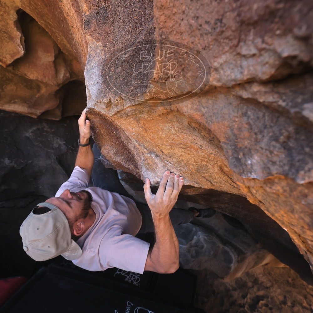 

Filename: SRM_20260117_1433260.jpg
Aperture: f/5.6
Shutter Speed: 1/640
Body: Canon EOS R6
Lens: Canon EF 16-35mm f/2.8 L