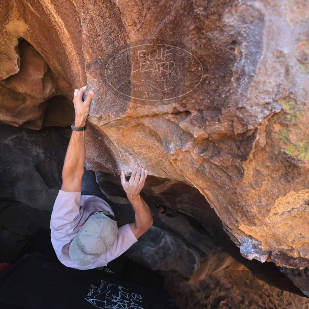 

Filename: SRM_20260117_1433300.jpg
Aperture: f/5.6
Shutter Speed: 1/640
Body: Canon EOS R6
Lens: Canon EF 16-35mm f/2.8 L