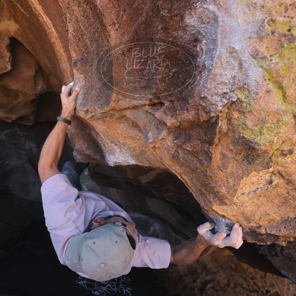 

Filename: SRM_20260117_1433320.jpg
Aperture: f/5.6
Shutter Speed: 1/640
Body: Canon EOS R6
Lens: Canon EF 16-35mm f/2.8 L