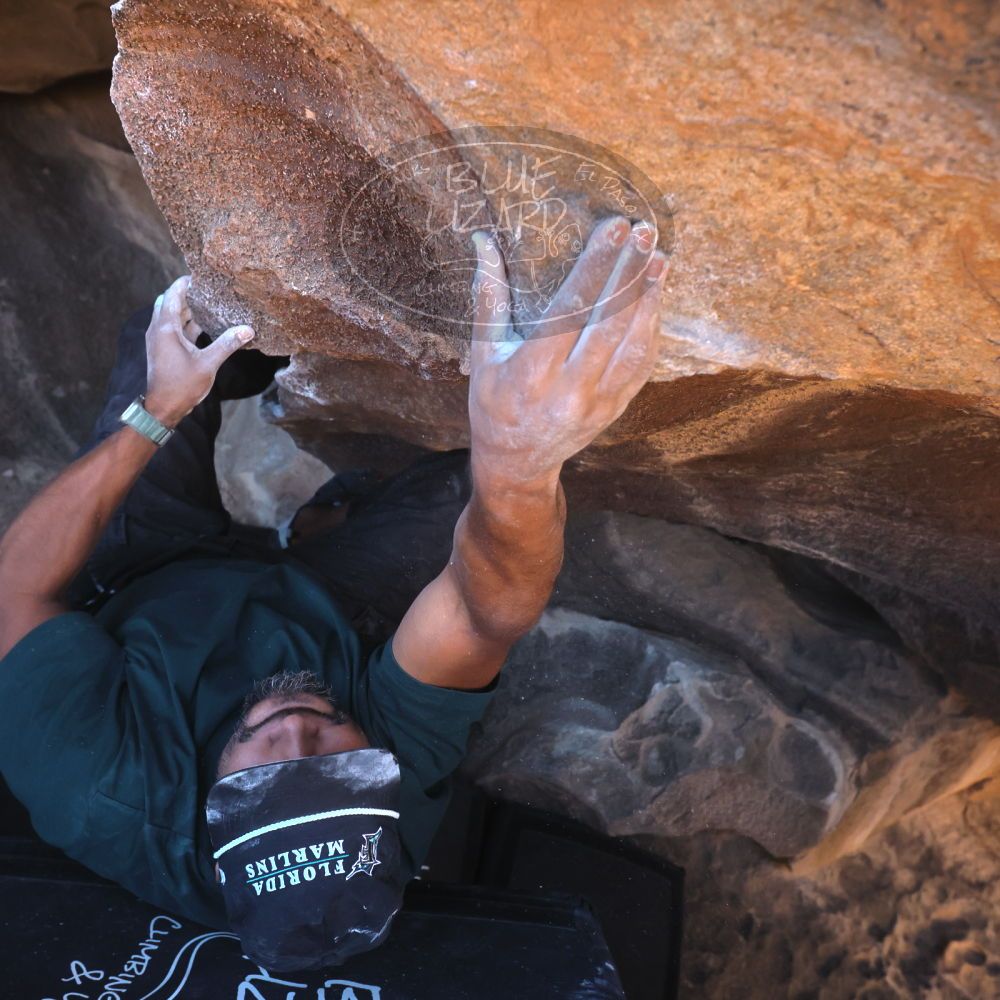 

Filename: SRM_20260117_1447311.jpg
Aperture: f/5.6
Shutter Speed: 1/640
Body: Canon EOS R6
Lens: Canon EF 16-35mm f/2.8 L