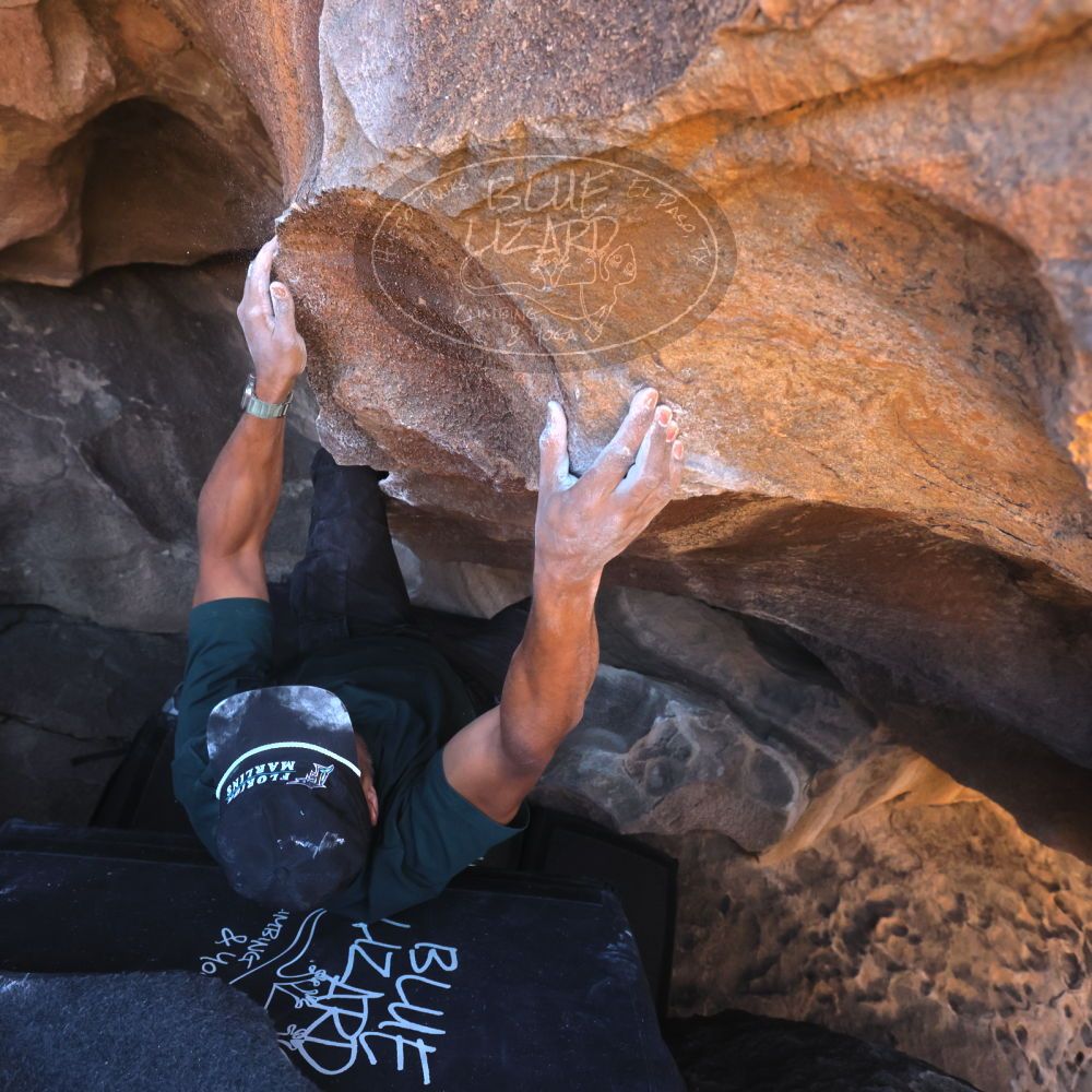 

Filename: SRM_20260117_1447390.jpg
Aperture: f/5.6
Shutter Speed: 1/640
Body: Canon EOS R6
Lens: Canon EF 16-35mm f/2.8 L