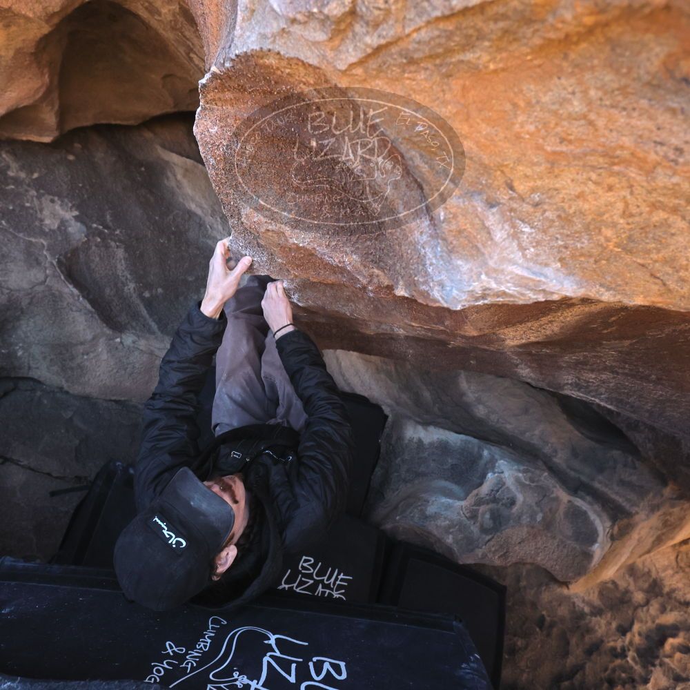 

Filename: SRM_20260117_1448500.jpg
Aperture: f/5.6
Shutter Speed: 1/640
Body: Canon EOS R6
Lens: Canon EF 16-35mm f/2.8 L