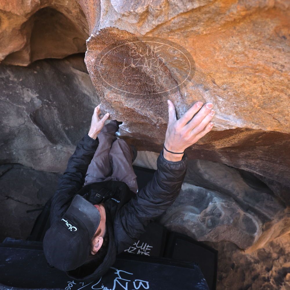 

Filename: SRM_20260117_1448501.jpg
Aperture: f/5.6
Shutter Speed: 1/640
Body: Canon EOS R6
Lens: Canon EF 16-35mm f/2.8 L