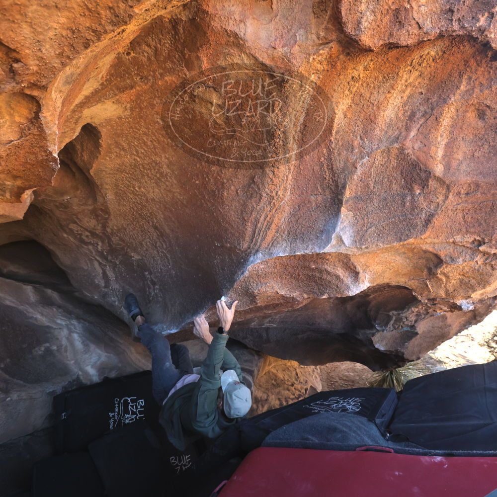 

Filename: SRM_20260117_1511000.jpg
Aperture: f/5.6
Shutter Speed: 1/640
Body: Canon EOS R6
Lens: Canon EF 16-35mm f/2.8 L