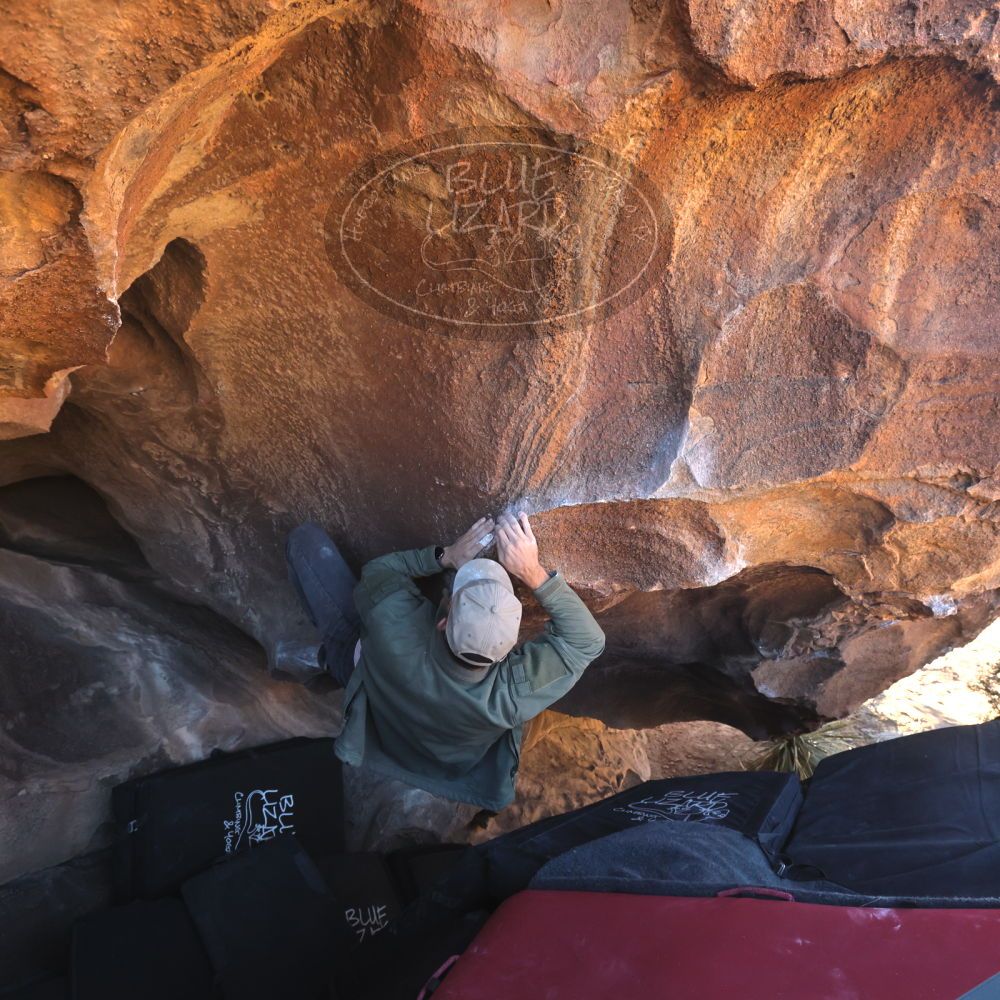 

Filename: SRM_20260117_1511170.jpg
Aperture: f/5.6
Shutter Speed: 1/640
Body: Canon EOS R6
Lens: Canon EF 16-35mm f/2.8 L