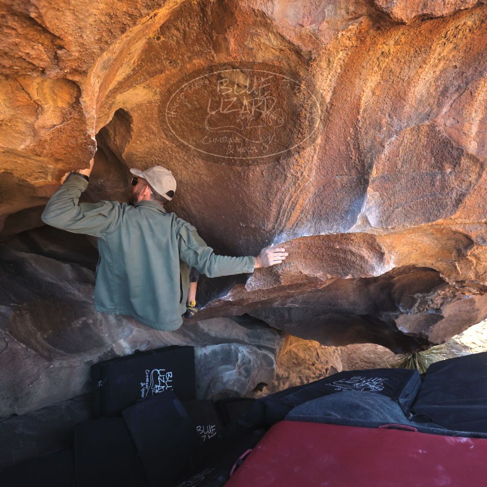 

Filename: SRM_20260117_1511230.jpg
Aperture: f/5.6
Shutter Speed: 1/640
Body: Canon EOS R6
Lens: Canon EF 16-35mm f/2.8 L