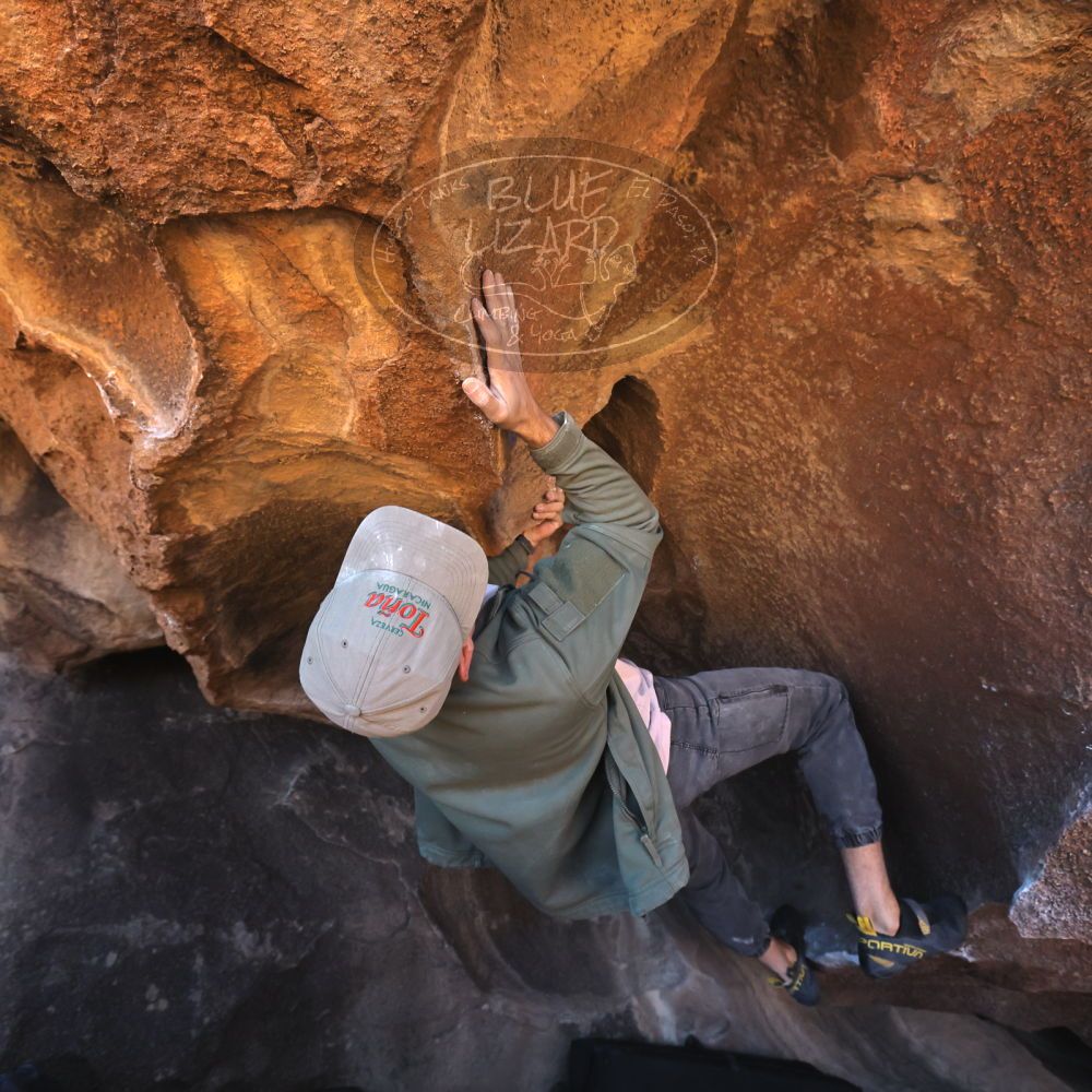 

Filename: SRM_20260117_1511440.jpg
Aperture: f/5.6
Shutter Speed: 1/640
Body: Canon EOS R6
Lens: Canon EF 16-35mm f/2.8 L