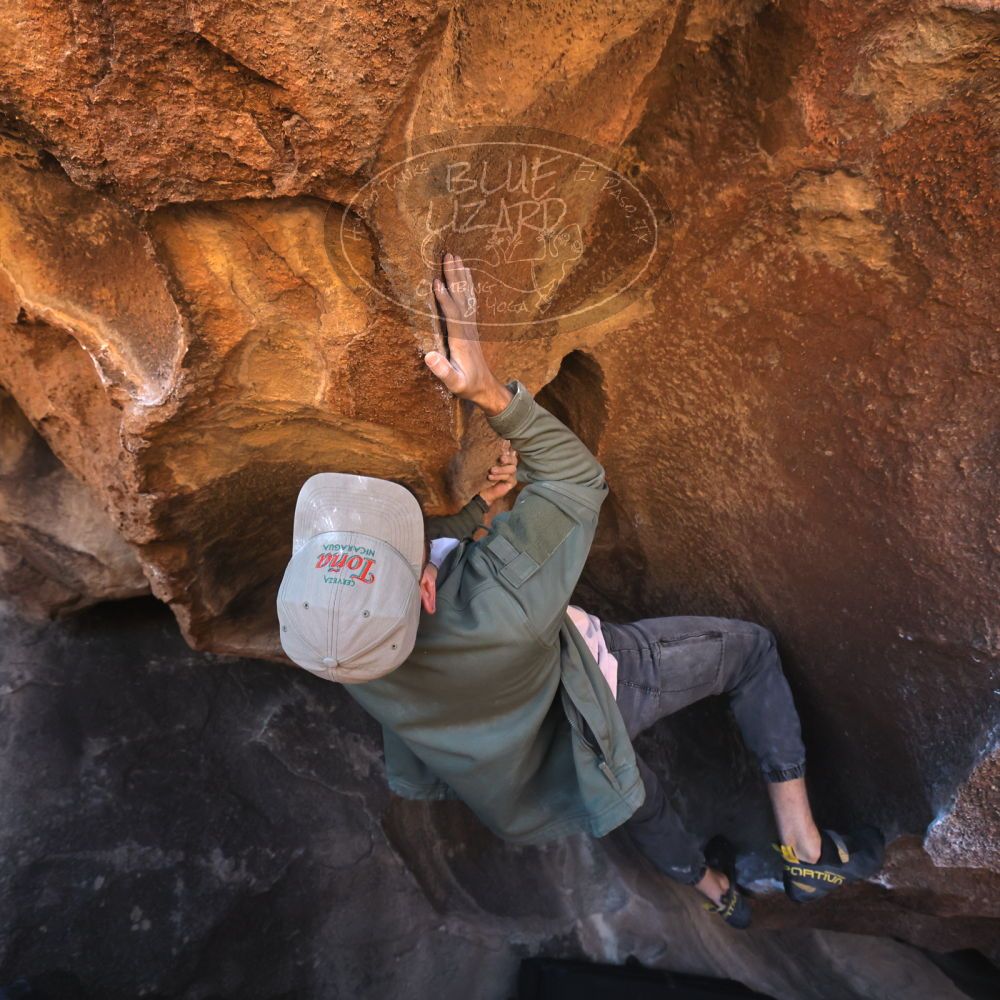 

Filename: SRM_20260117_1511441.jpg
Aperture: f/5.6
Shutter Speed: 1/640
Body: Canon EOS R6
Lens: Canon EF 16-35mm f/2.8 L