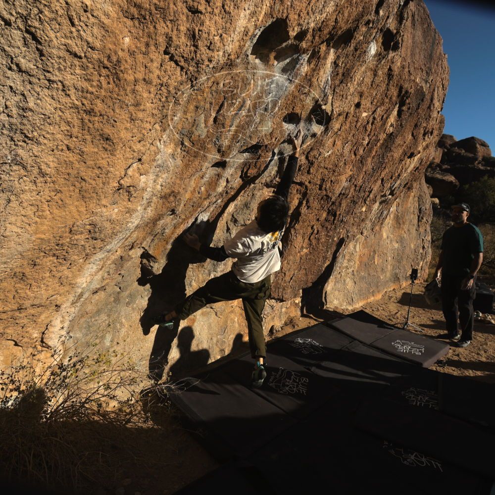 

Filename: SRM_20260117_1550270.jpg
Aperture: f/8.0
Shutter Speed: 1/1000
Body: Canon EOS R6
Lens: Canon EF 16-35mm f/2.8 L