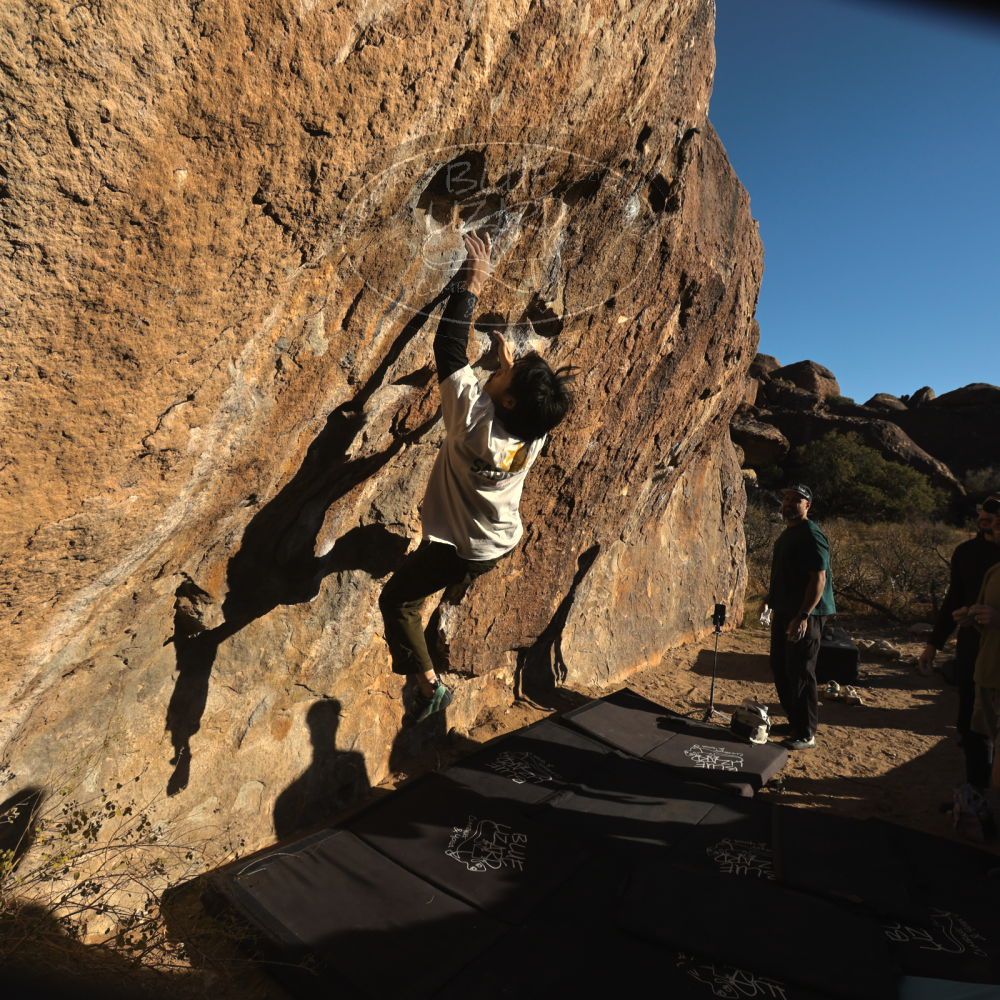 

Filename: SRM_20260117_1551200.jpg
Aperture: f/8.0
Shutter Speed: 1/1000
Body: Canon EOS R6
Lens: Canon EF 16-35mm f/2.8 L