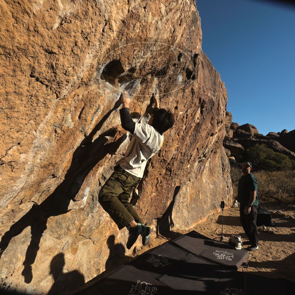 

Filename: SRM_20260117_1551340.jpg
Aperture: f/8.0
Shutter Speed: 1/1000
Body: Canon EOS R6
Lens: Canon EF 16-35mm f/2.8 L