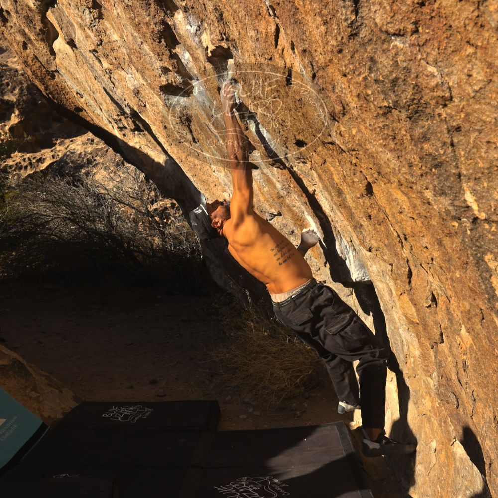 

Filename: SRM_20260117_1602050.jpg
Aperture: f/8.0
Shutter Speed: 1/1000
Body: Canon EOS R6
Lens: Canon EF 16-35mm f/2.8 L