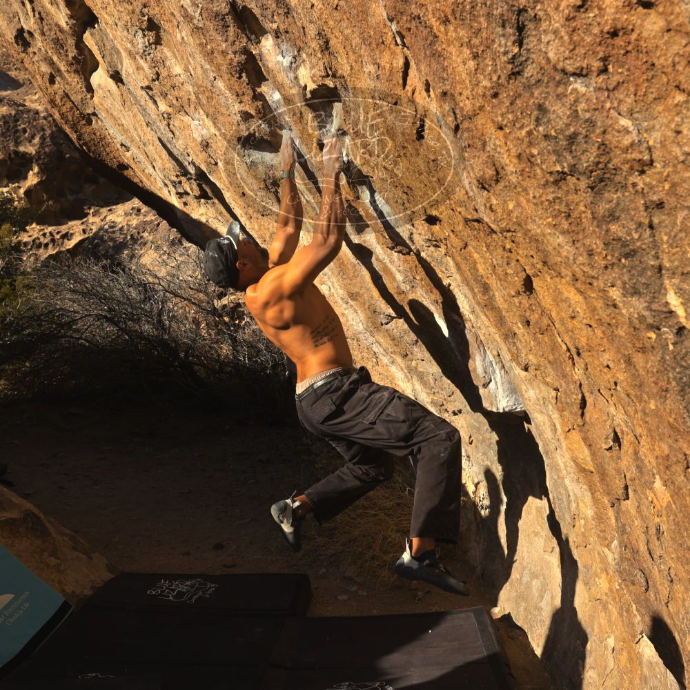 

Filename: SRM_20260117_1602070.jpg
Aperture: f/8.0
Shutter Speed: 1/1000
Body: Canon EOS R6
Lens: Canon EF 16-35mm f/2.8 L