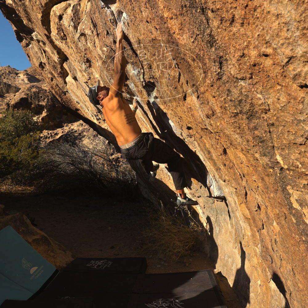 

Filename: SRM_20260117_1602130.jpg
Aperture: f/8.0
Shutter Speed: 1/1000
Body: Canon EOS R6
Lens: Canon EF 16-35mm f/2.8 L