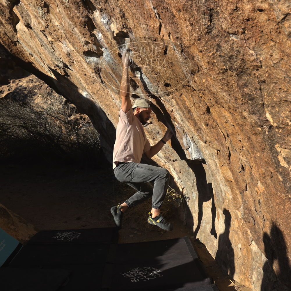 

Filename: SRM_20260117_1604370.jpg
Aperture: f/8.0
Shutter Speed: 1/1000
Body: Canon EOS R6
Lens: Canon EF 16-35mm f/2.8 L