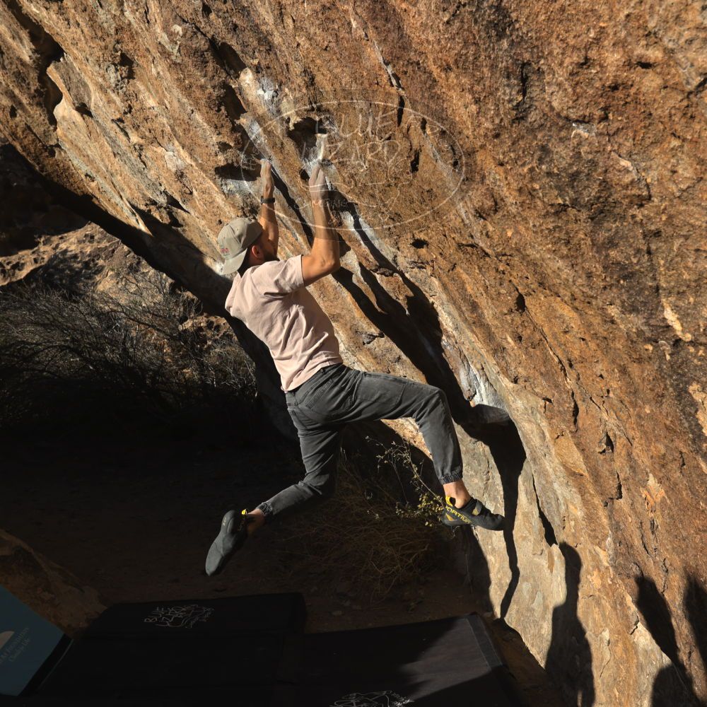 

Filename: SRM_20260117_1604420.jpg
Aperture: f/8.0
Shutter Speed: 1/1000
Body: Canon EOS R6
Lens: Canon EF 16-35mm f/2.8 L