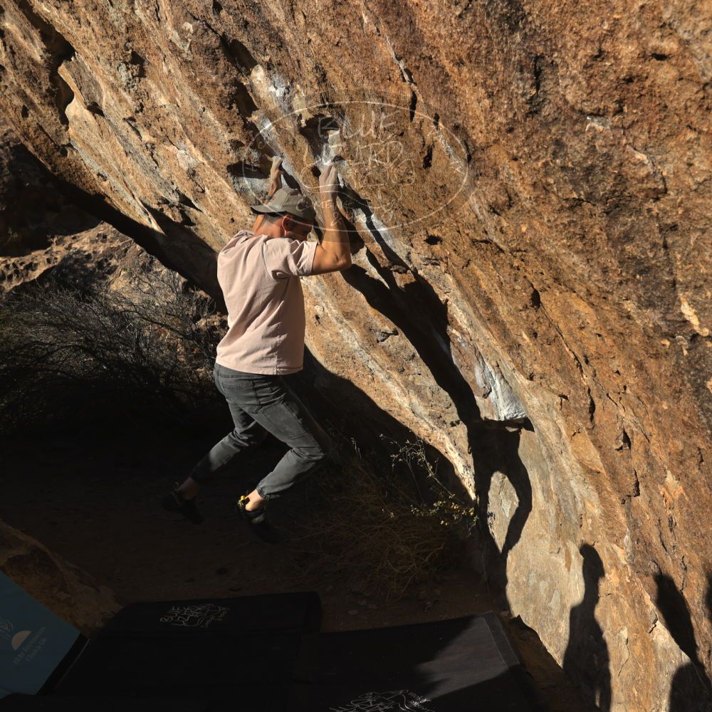 

Filename: SRM_20260117_1604430.jpg
Aperture: f/8.0
Shutter Speed: 1/1000
Body: Canon EOS R6
Lens: Canon EF 16-35mm f/2.8 L