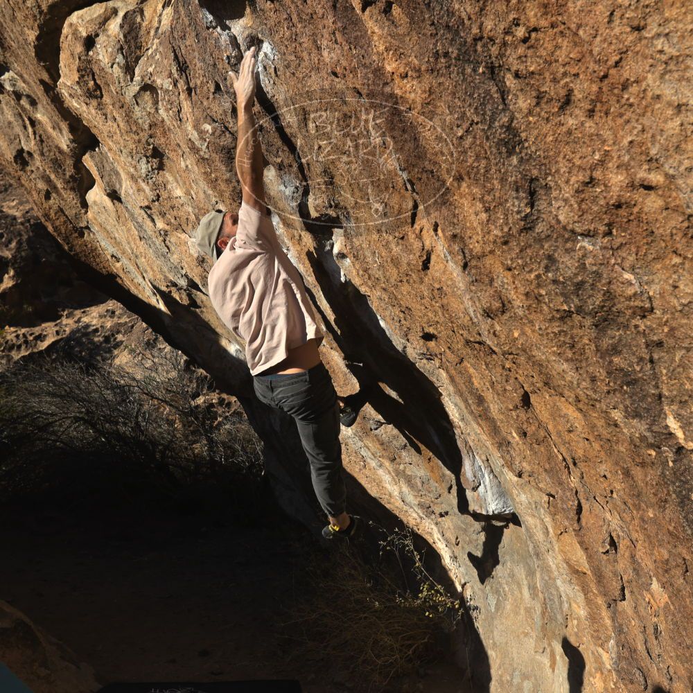 

Filename: SRM_20260117_1604480.jpg
Aperture: f/8.0
Shutter Speed: 1/1000
Body: Canon EOS R6
Lens: Canon EF 16-35mm f/2.8 L