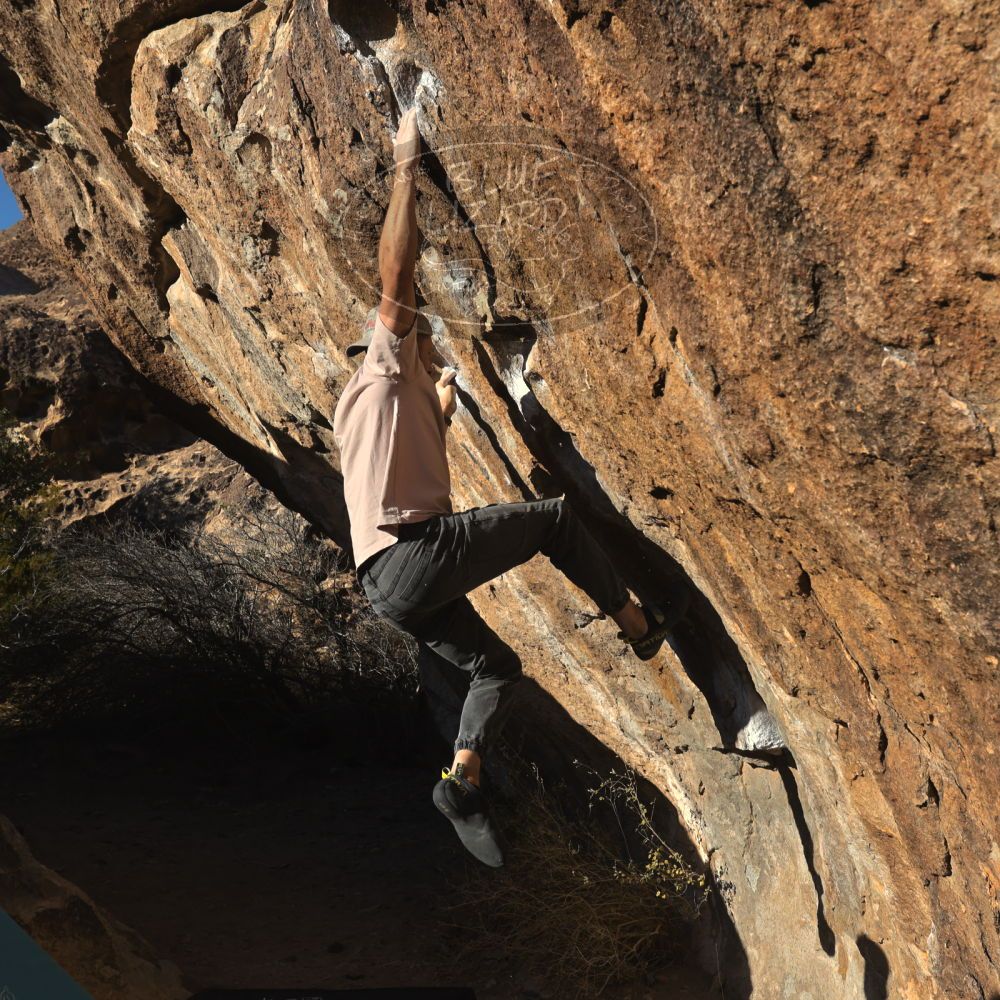 

Filename: SRM_20260117_1604490.jpg
Aperture: f/8.0
Shutter Speed: 1/1000
Body: Canon EOS R6
Lens: Canon EF 16-35mm f/2.8 L