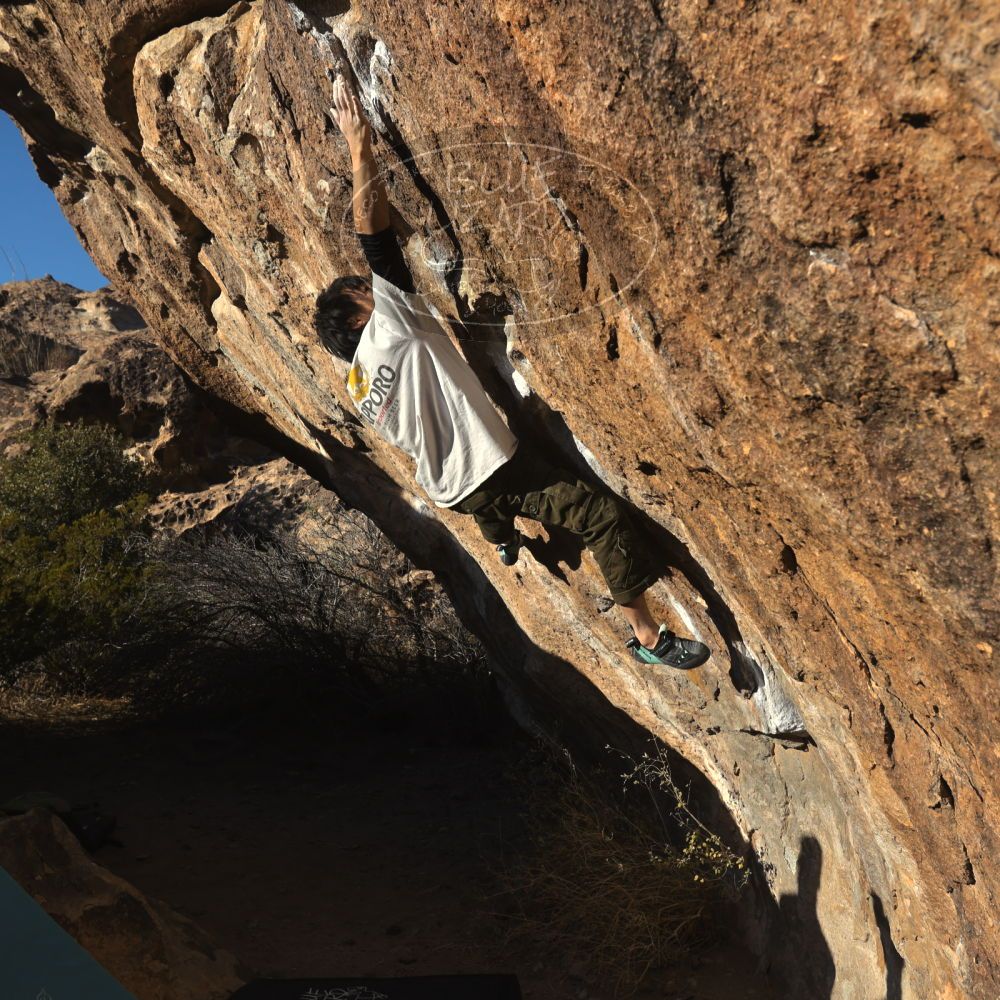 

Filename: SRM_20260117_1605490.jpg
Aperture: f/8.0
Shutter Speed: 1/1000
Body: Canon EOS R6
Lens: Canon EF 16-35mm f/2.8 L