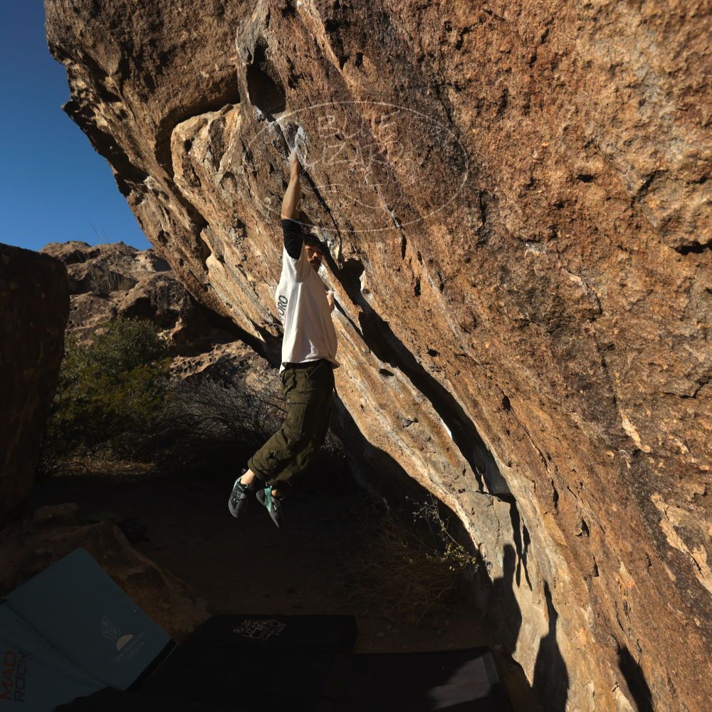 

Filename: SRM_20260117_1605500.jpg
Aperture: f/8.0
Shutter Speed: 1/1000
Body: Canon EOS R6
Lens: Canon EF 16-35mm f/2.8 L