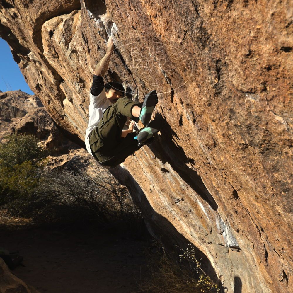 

Filename: SRM_20260117_1605540.jpg
Aperture: f/8.0
Shutter Speed: 1/1000
Body: Canon EOS R6
Lens: Canon EF 16-35mm f/2.8 L