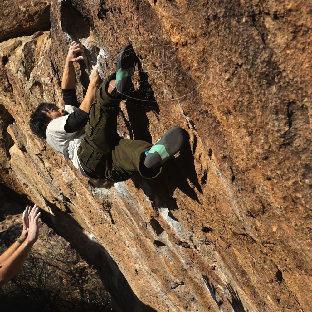 

Filename: SRM_20260117_1605590.jpg
Aperture: f/8.0
Shutter Speed: 1/1000
Body: Canon EOS R6
Lens: Canon EF 16-35mm f/2.8 L