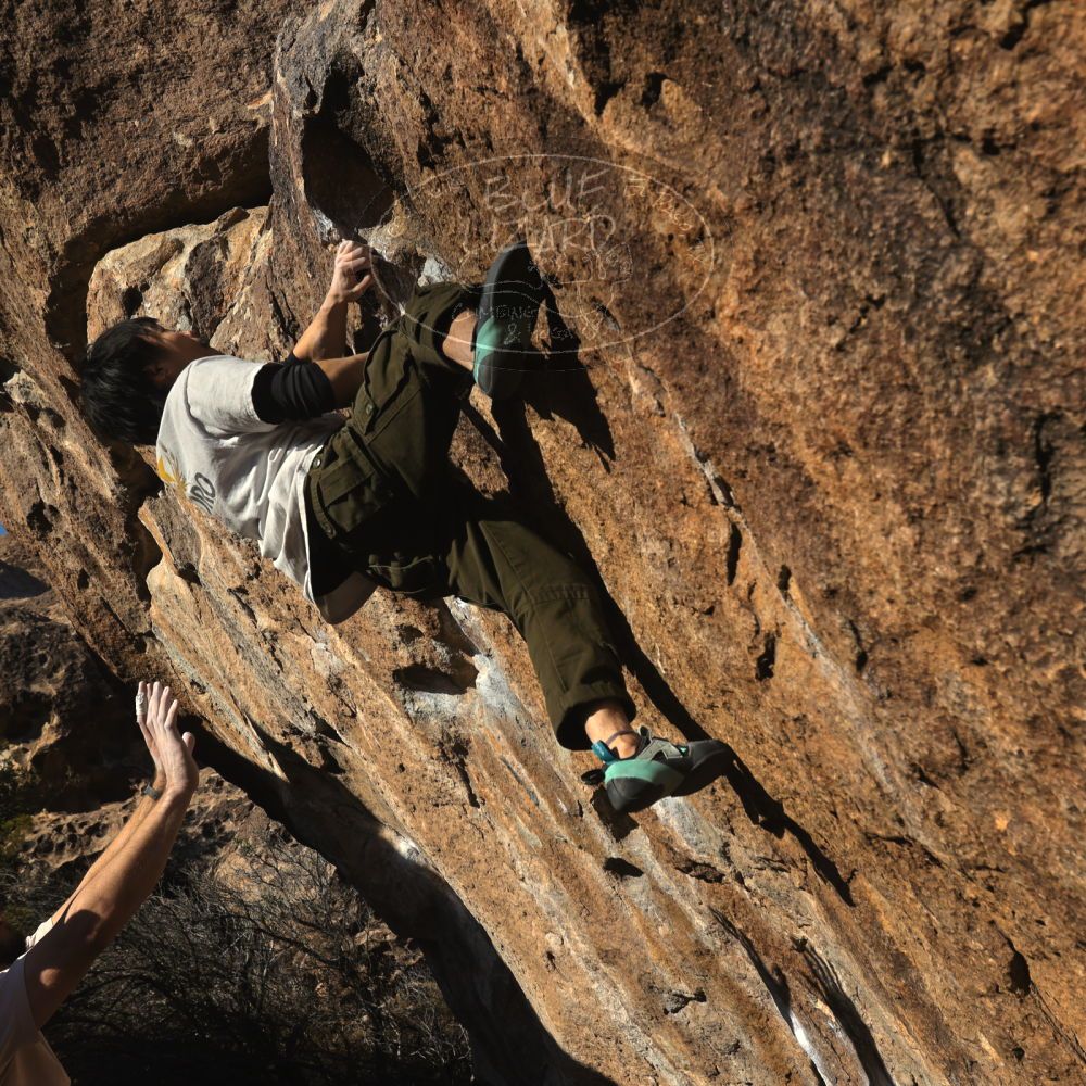 

Filename: SRM_20260117_1606000.jpg
Aperture: f/8.0
Shutter Speed: 1/1000
Body: Canon EOS R6
Lens: Canon EF 16-35mm f/2.8 L