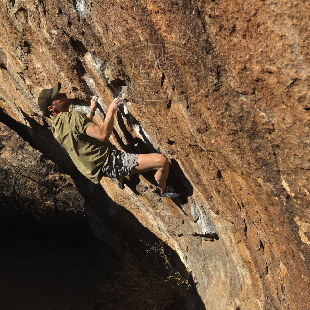 

Filename: SRM_20260117_1607430.jpg
Aperture: f/8.0
Shutter Speed: 1/1000
Body: Canon EOS R6
Lens: Canon EF 16-35mm f/2.8 L