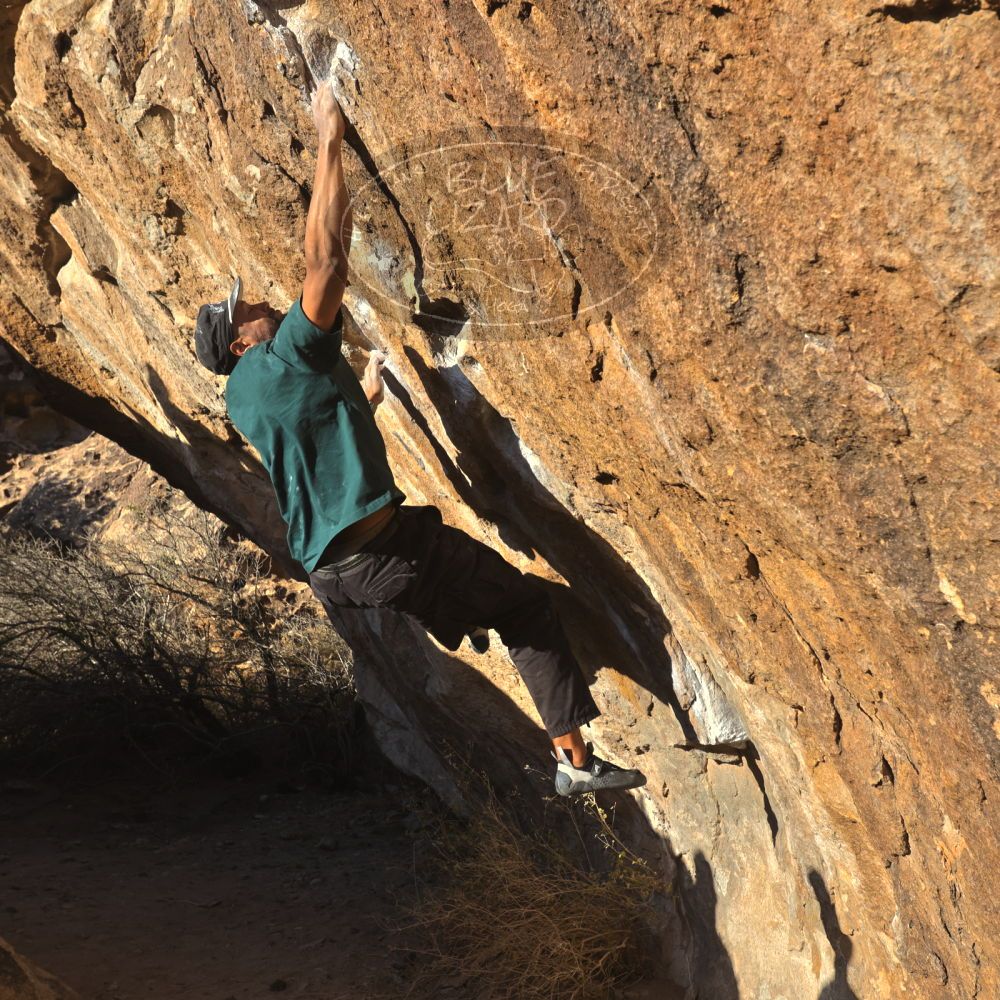 

Filename: SRM_20260117_1609570.jpg
Aperture: f/8.0
Shutter Speed: 1/1000
Body: Canon EOS R6
Lens: Canon EF 16-35mm f/2.8 L