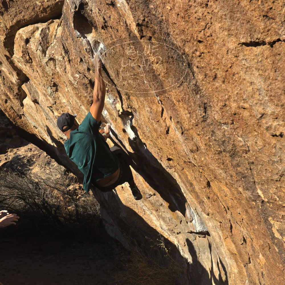 

Filename: SRM_20260117_1610000.jpg
Aperture: f/8.0
Shutter Speed: 1/1000
Body: Canon EOS R6
Lens: Canon EF 16-35mm f/2.8 L