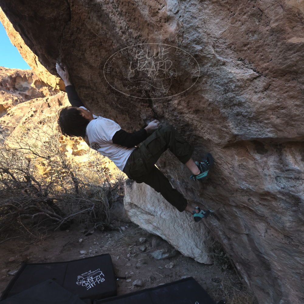 

Filename: SRM_20260117_1635000.jpg
Aperture: f/8.0
Shutter Speed: 1/1000
Body: Canon EOS R6
Lens: Canon EF 16-35mm f/2.8 L