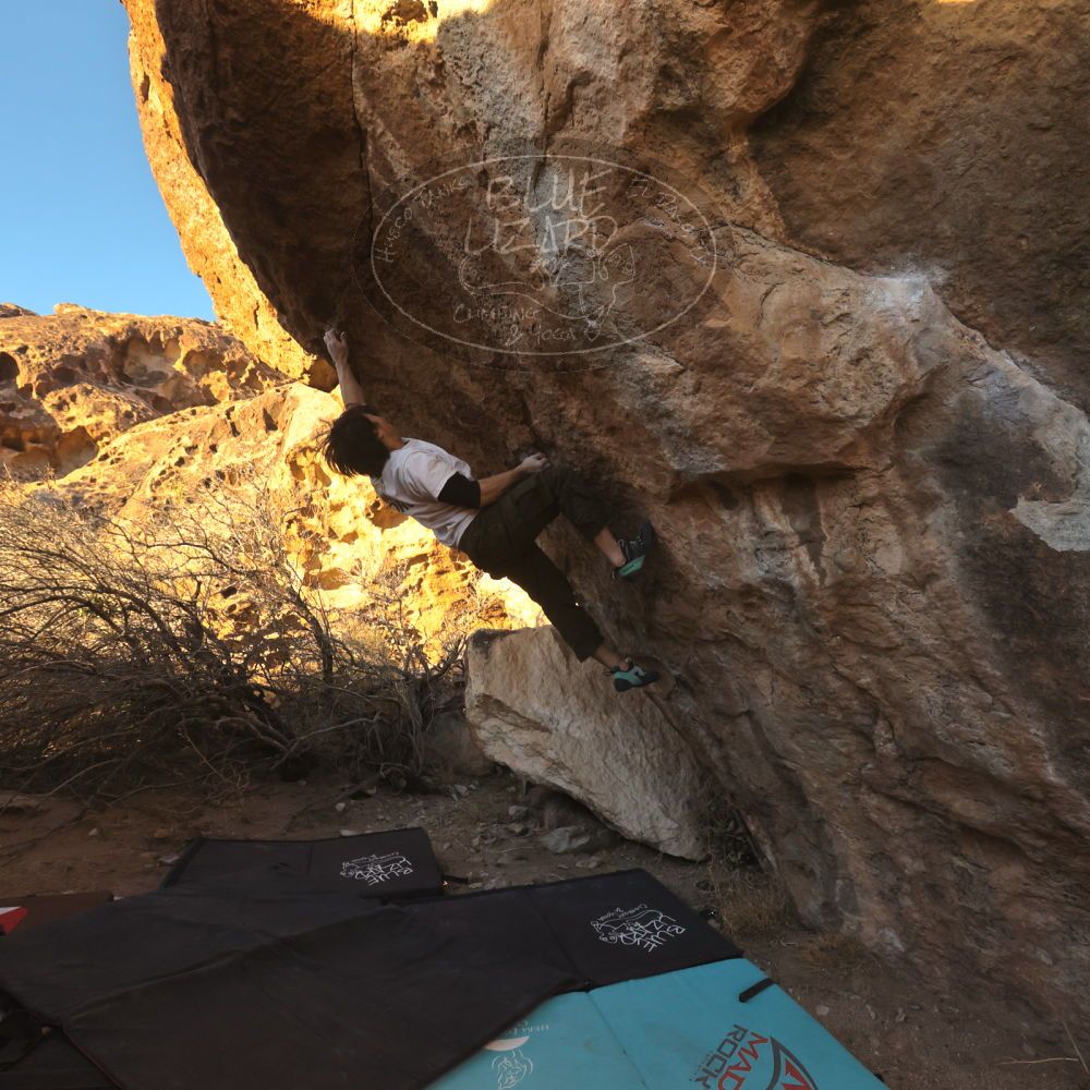 

Filename: SRM_20260117_1636170.jpg
Aperture: f/8.0
Shutter Speed: 1/1000
Body: Canon EOS R6
Lens: Canon EF 16-35mm f/2.8 L