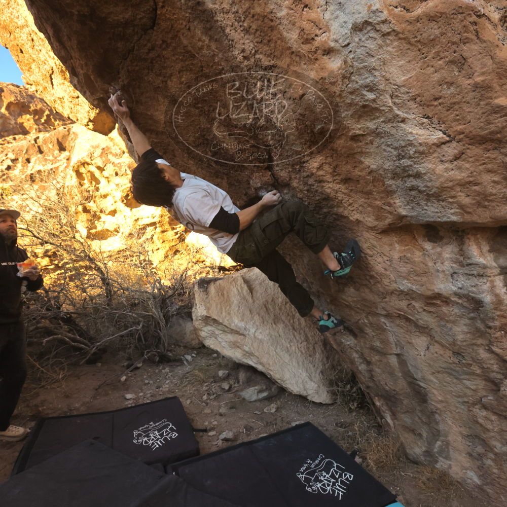 

Filename: SRM_20260117_1638470.jpg
Aperture: f/8.0
Shutter Speed: 1/1000
Body: Canon EOS R6
Lens: Canon EF 16-35mm f/2.8 L